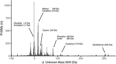 Discovery top-down proteomics in symbiotic soybean root nodules